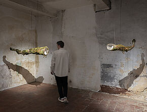 Agrandir l'image (fenêtre modale)