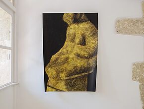 Agrandir l'image (fenêtre modale)