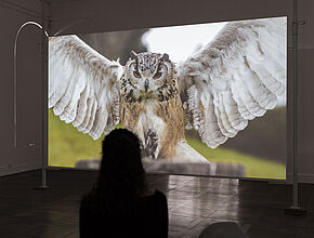 Exposition Full Sentimental 2023, Jeremy Deller © Benjamin Roudet - Agrandir l'image (fenêtre modale)