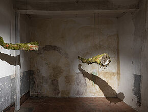 Agrandir l'image (fenêtre modale)