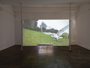 Agrandir l'image (fenêtre modale)