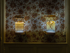 Ilazki de Portuondo. Les faiseuses d’anges, 2019 Dimensions variables, récipients de verre avec plantes, supports bois, système LED. crédit photo: Benjamin Roudet - Agrandir l'image (fenêtre modale)